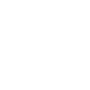 監督のアイコン