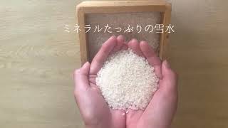 幻の米 / The phantom rice