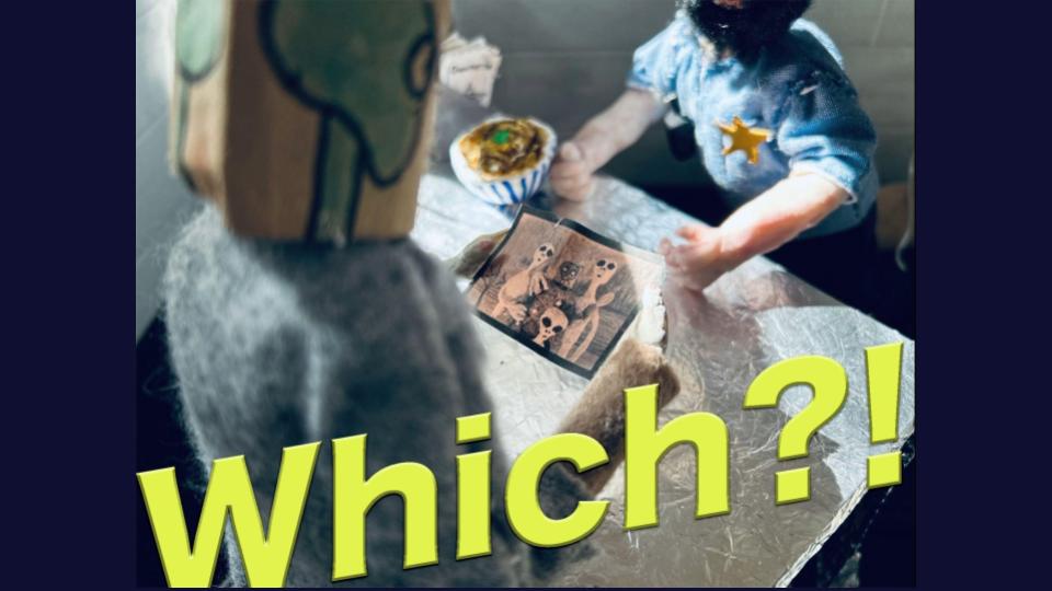 『WHICH』